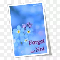 蓝色电蓝色登录钴蓝-别忘了我-空若网 蓝色电蓝色登录钴蓝-别忘了我-空若网