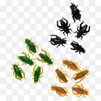 昆虫传粉动物无脊椎动物叶生物蝗虫-空若网 昆虫传粉动物无脊椎动物叶生物蝗虫-空若网