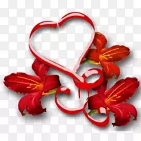 情人节爱情凉鞋-空若网 情人节爱情凉鞋-空若网