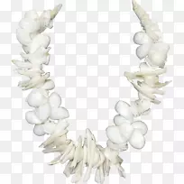 人体珠宝项链珍珠首饰设计-贝壳-空若网 人体珠宝项链珍珠首饰设计-贝壳-空若网