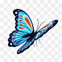 蝴蝶昆虫剪贴画-昆虫-空若网 蝴蝶昆虫剪贴画-昆虫-空若网