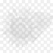 花白色花瓣-甘菊-空若网 花白色花瓣-甘菊-空若网