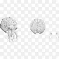 线条艺术画头像剪辑艺术-阿凡达-空若网 线条艺术画头像剪辑艺术-阿凡达-空若网