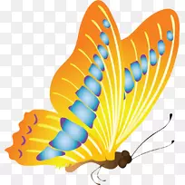 蝴蝶花园神秘昆虫剪贴画-蝴蝶-空若网 蝴蝶花园神秘昆虫剪贴画-蝴蝶-空若网