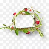 谷类花耳圆框-空若网 谷类花耳圆框-空若网