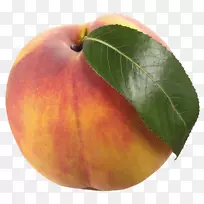 水果花篮、油桃、杏、剪贴画-桃子-空若网 水果花篮、油桃、杏、剪贴画-桃子-空若网