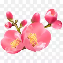 图夹艺术.弹簧-空若网 图夹艺术.弹簧-空若网