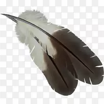 ��ë��װ��PostScriptͼ���ļ���ʽ.��ë-������