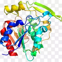 线点生物剪贴画-木薯-空若网 线点生物剪贴画-木薯-空若网
