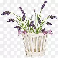 花束英国薰衣草派对-薰衣草花-空若网 花束英国薰衣草派对-薰衣草花-空若网