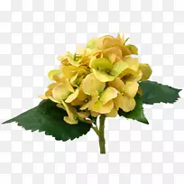 人工切花,花束,绣球-空若网 人工切花,花束,绣球-空若网