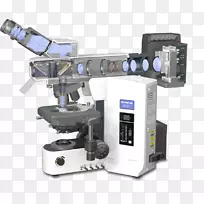 荧光显微镜荧光光谱共聚焦显微镜原理-空若网 荧光显微镜荧光光谱共聚焦显微镜原理-空若网