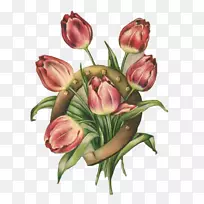 �л��������ɾ�-������