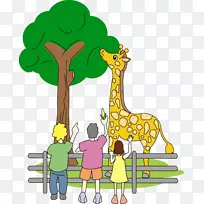 长颈鹿陆生动物野生动物-动物园-空若网 长颈鹿陆生动物野生动物-动物园-空若网