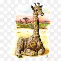长颈鹿陆生动物野生动物水彩画动物-空若网 长颈鹿陆生动物野生动物水彩画动物-空若网