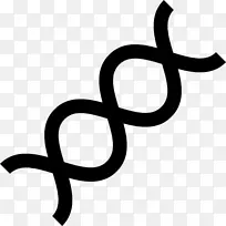 DNA生物化学实验室科学dna-空若网 DNA生物化学实验室科学dna-空若网