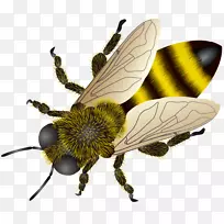 ŷ�޺ڷ����������-����-������