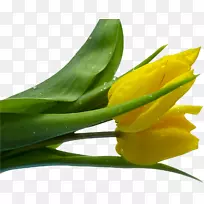 �����㻨��������-������-������