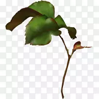 ��Ӱ�������ݹ�-������