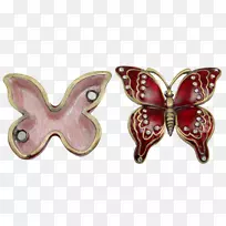 ºûµûÀ¥³æ´«·Û¶¯ÎïÎÞ¼¹×µ¶¯ÎïÖ鱦.ºìºûµû-¿ÕÈôÍø ºûµûÀ¥³æ´«·Û¶¯ÎïÎÞ¼¹×µ¶¯ÎïÖ鱦.ºìºûµû-¿ÕÈôÍø