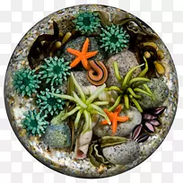 镇静剂玻璃艺术潮流池-空若网 镇静剂玻璃艺术潮流池-空若网