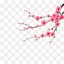 花瓣桃花-桃花手绘扣免费材料-空若网 花瓣桃花-桃花手绘扣免费材料-空若网