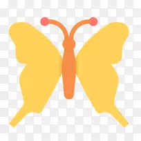 蝴蝶电脑图标昆虫剪贴画昆虫-空若网 蝴蝶电脑图标昆虫剪贴画昆虫-空若网