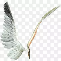 ������-������