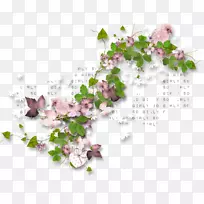 ��������-������