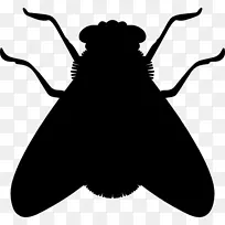 昆虫轮廓苍蝇蟑螂-昆虫-空若网 昆虫轮廓苍蝇蟑螂-昆虫-空若网