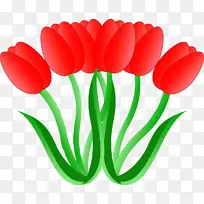 ������ʮ�������������-������