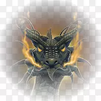 龙猫龙动物-空若网 龙猫龙动物-空若网