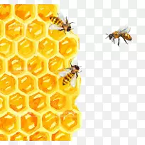 蜜蜂蜂巢水彩画插图-蜜蜂-空若网 蜜蜂蜂巢水彩画插图-蜜蜂-空若网