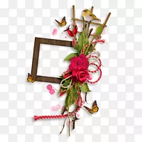 �����Ӱ������.������-������