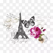 ���ƶ�����ƽ�����.�ŷ�-������