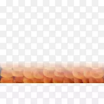 特制杏-空若网 特制杏-空若网