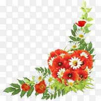 android下载-角花-空若网 android下载-角花-空若网