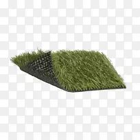 草科草坪-空若网 草科草坪-空若网