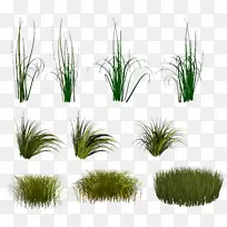 ¼ôÌù»-²Ý-¿ÕÈôÍø ¼ôÌù»-²Ý-¿ÕÈôÍø