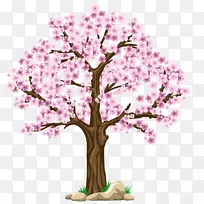 樱花插花艺术-冷杉-空若网 樱花插花艺术-冷杉-空若网