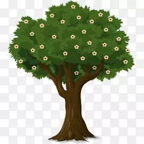 果树插花艺术-空若网 果树插花艺术-空若网