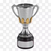 里士满足球俱乐部2017年AFL总决赛阿德莱德足球俱乐部超级联赛杯-空若网 里士满足球俱乐部2017年AFL总决赛阿德莱德足球俱乐部超级联赛杯-空若网