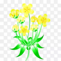 切花花卉设计花卉植物伞-空若网 切花花卉设计花卉植物伞-空若网