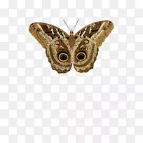 ·É¶êºûµû¼ÐÒÕÊõ-À¥³æ-¿ÕÈôÍø ·É¶êºûµû¼ÐÒÕÊõ-À¥³æ-¿ÕÈôÍø