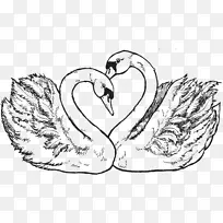 �������뺯������Ӱ������-����-������