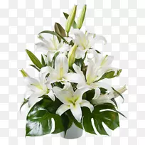 花束设计花卉切花.简约-空若网 花束设计花卉切花.简约-空若网