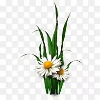 切花设计剪贴画-花卉装饰-空若网 切花设计剪贴画-花卉装饰-空若网