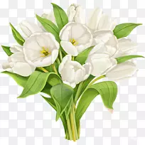 郁金香花剪贴画-美丽的花朵-空若网 郁金香花剪贴画-美丽的花朵-空若网