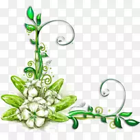 ��ʨ�廨����-����-������