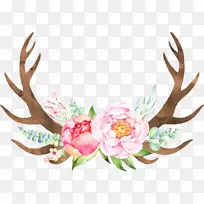 水彩画婚礼请柬艺术水彩画猫头鹰-空若网 水彩画婚礼请柬艺术水彩画猫头鹰-空若网